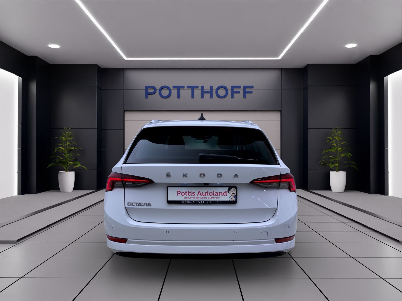 Skoda Octavia - Bild 4