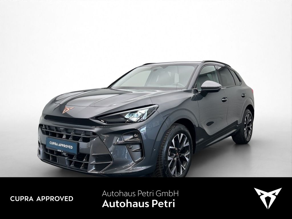 Image of Cupra Terramar