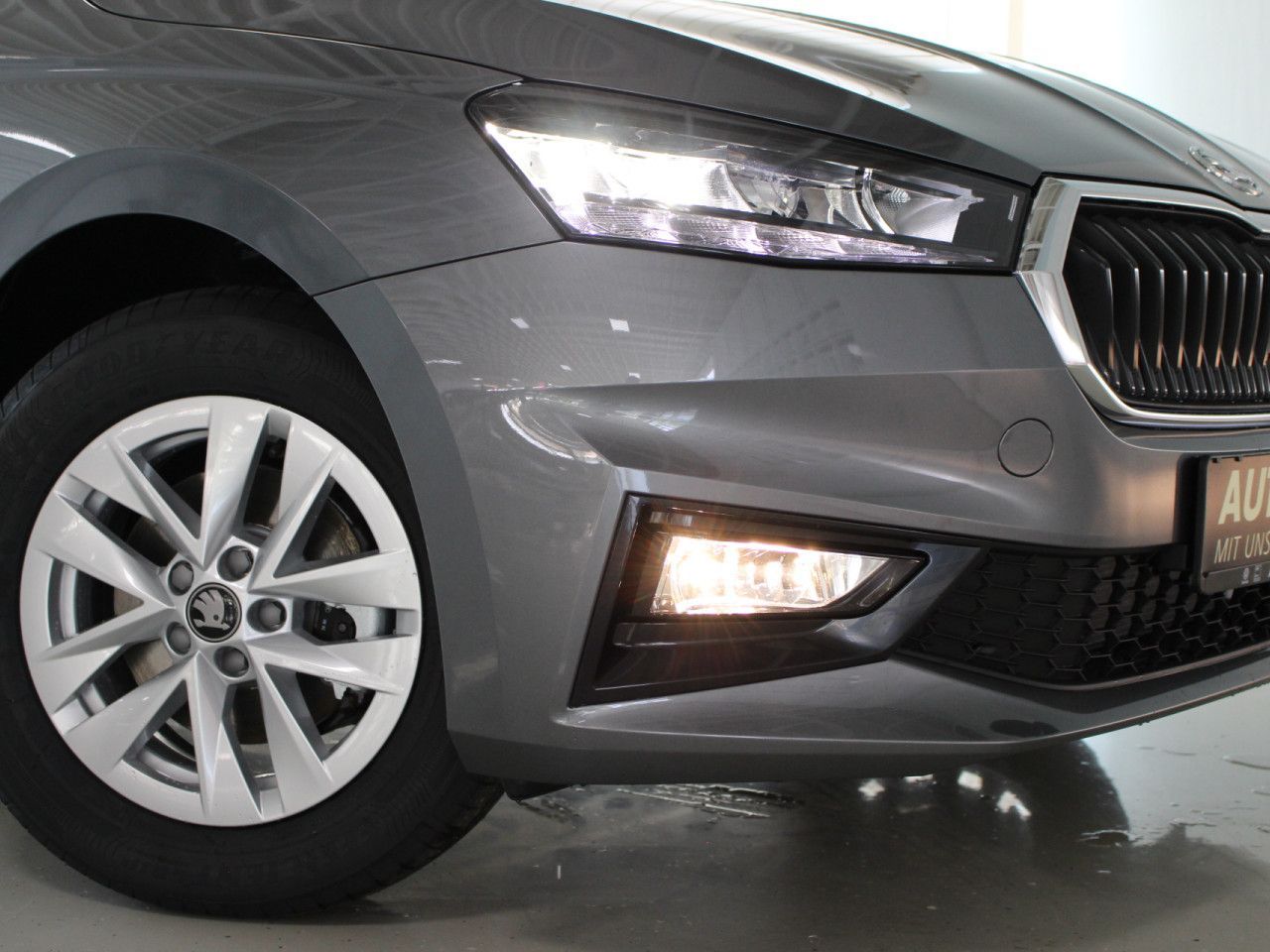 Fahrzeugabbildung SKODA Fabia 1.0 TSI Selection RFK/APP/SHZ/LANE