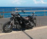 Harley-Davidson FXDF Fat Bob  - HARLEY-DAVIDSON FAT BOB