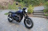 Triumph Scrambler 900 Custom Cafe Racer - TRIUMPH GEBRAUCHT SCRAMBLER