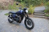 Triumph Scrambler 900 Custom Cafe Racer - TRIUMPH CAFE RACER