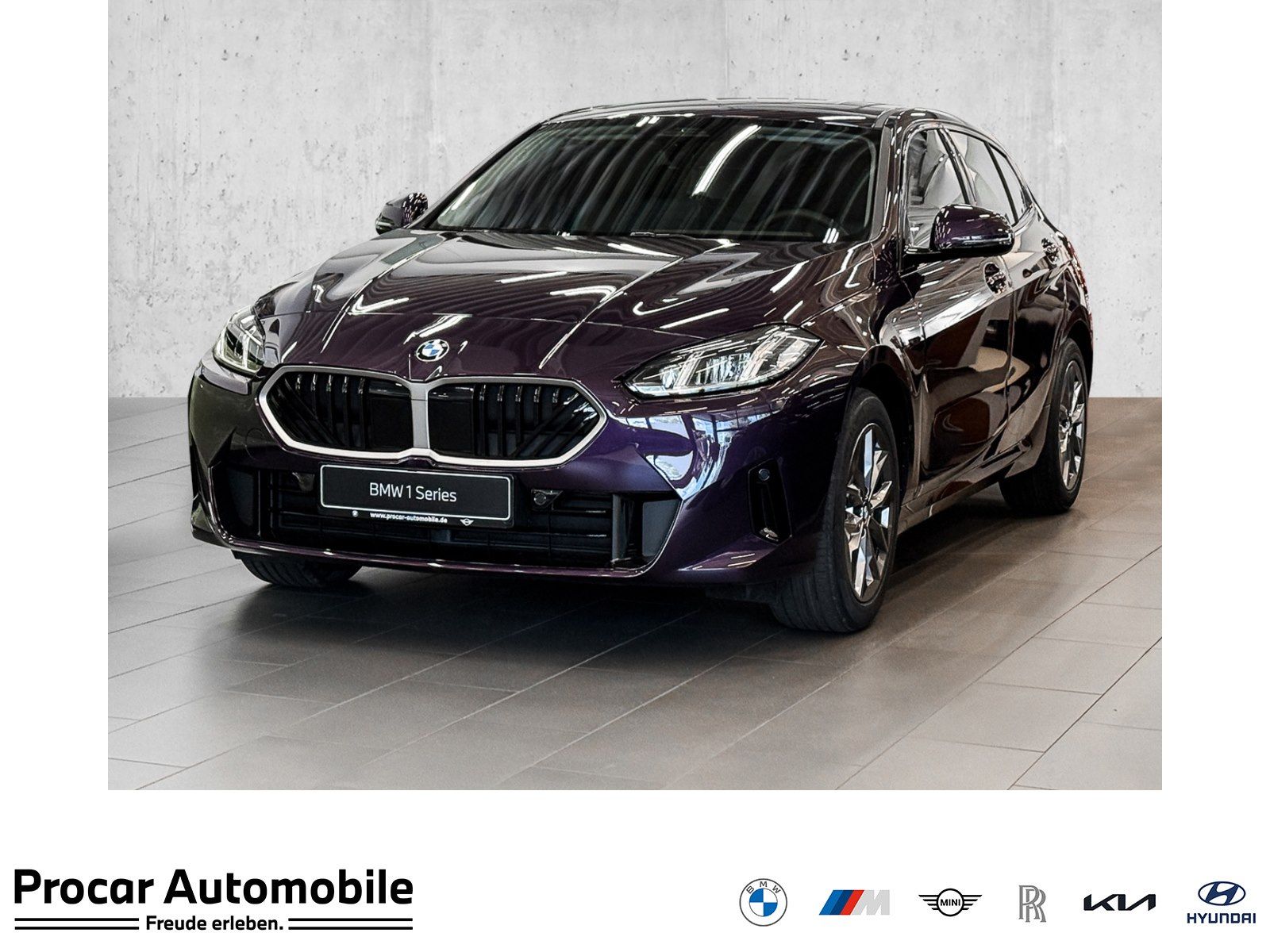 BMW 116 PANO RFK NAVI LED PDC V+H DAB Parkass. LM