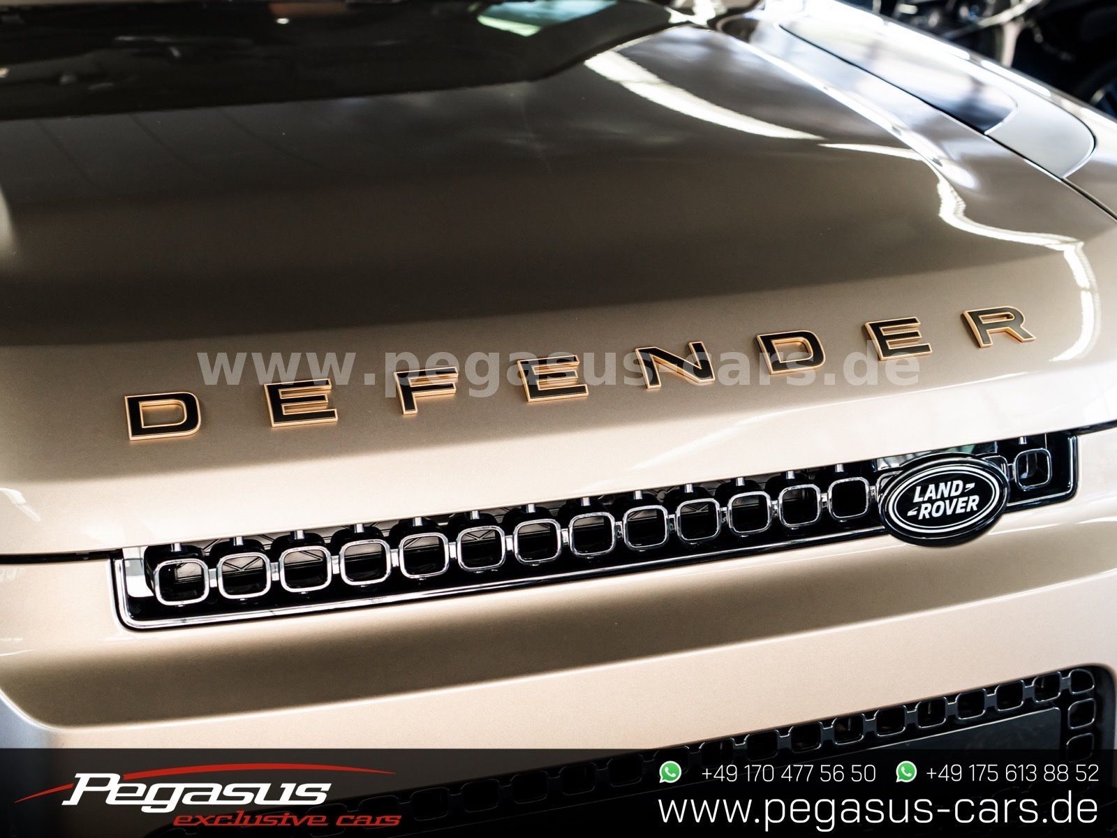 LAND ROVER Defender - 8