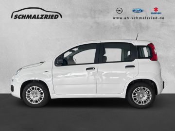Bild 2 Fiat Panda 1.0 Mild Hybrid DAB Spurhalteass. Verkehrs