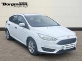 Ford Focus Ambiente 1.0 EcoBoost Ambientebeleuchtung  - Ford Focus: Ambiente