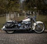 Harley-Davidson Softail Deluxe FLSTN 103 Custom - HARLEY-DAVIDSON SOFTAIL CUSTOM