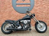 Harley-Davidson FXST Softail Standard *MY1999* *sofort* - HARLEY-DAVIDSON 1999 SOFTAIL
