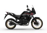 Honda XL750 Transalp 2025 - HONDA 750 XL