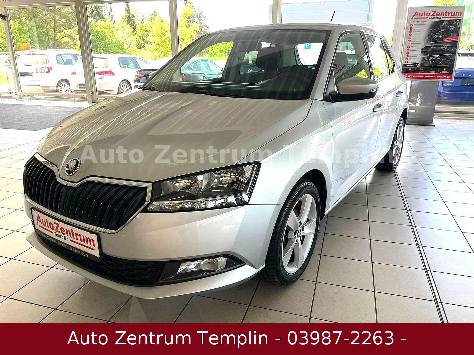 Skoda Fabia-1.Hand-Sitzheizung-DAB-TÜV/AU-Garantie-