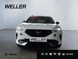 Cupra Formentor 2.0 TDI 4Drive DSG *Navi*LED*ACC* uvm. - Cupra mit Diesel-Antrieb