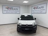 Fiat FIAT Panda Panda 1.3 MJT 4x4 Pop Van 2 posti - Fiat Panda POP mit Diesel-Antrieb