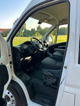 Fiat Ducato - gebrauchte Fiat Ducato aus dem Jahr 2020
