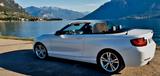 BMW 218i Cabrio -PDC-18"-Navi - BMW 218 von privat