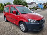 Volkswagen Caddy Roncalli (LPG & Benzin) - Volkswagen Caddy mit LPG-Antrieb