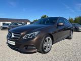 Mercedes-Benz E220 CDI Avantgarde +AUTOMATIK+87T KM+LED+AHK+ - Mercedes-Benz E 220: Cdi T
