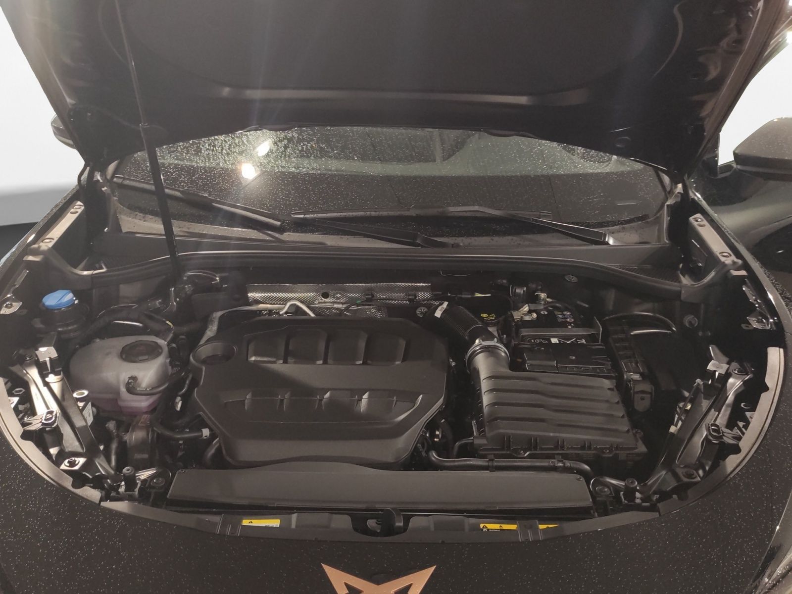 Cupra Terramar - Bild 19