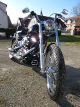 Harley-Davidson FXSTC Softail Custom - MOTORRAD AUS DEM JAHR 2007