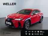 Lexus UX 300h F SPORT Design *LED*CAM*SHZ*CarPlay*PDC* - Lexus UX in Bremen