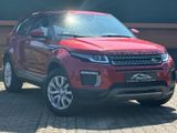Land Rover Range Rover Evoque Pure +TMPMT+LEDER+NAVI+ - Land Rover Range Rover Evoque mit Diesel-Antrieb