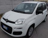 Fiat Panda 1.2 EasyPower Easy ADATTA x NEOPATENT - Behindertengerechte Fiat Panda