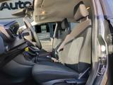 Ford Fiesta Trend Temp+Klima - Ford Fiesta: Grau