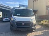 Fiat Ducato Pritsche Doppelk. 35 160 L4 Pritsc - Fiat Ducato: Pritsche
