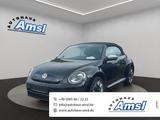 Volkswagen Beetle Cabrio 1.4TSI Allstar*Leder*Navi*Kam*LED - Volkswagen Beetle ALLSTAR mit Benzin-Antrieb
