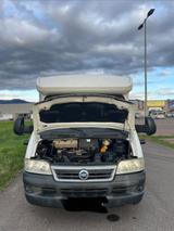 Fiat Chausson 55 Welcome  - Wohnkabine