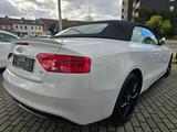 Audi A5 Cabriolet 2.0 TDI S-Line Ex*NAvi*R-Kam*Alcant - Audi A5 Gebrauchtwagen in Wiesbaden