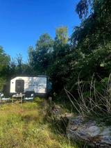Other Wild Camper/ Mini Camper/ Wohnwagen/Tear drop - Offers