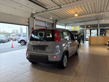 Bild 5 Fiat Panda Base 1.0 Mild Hybrid DAB Klima BT teilb.Rü