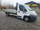 Fiat Ducato Pritsche 35 130  L4 TüV Neu - Fiat Ducato: L4