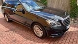 Mercedes-Benz E-Klasse 250 BlueTech T-Modell - Mercedes-Benz 250 Gebrauchtwagen