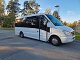 Mercedes-Benz Sprinter 516 CDI  - Mercedes-Benz Sprinter aus 2010: Van