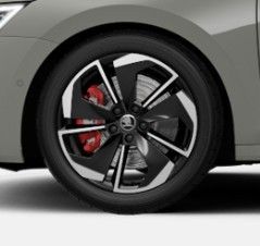 Skoda Octavia Combi 2.0 TSI RS *DSG*AHK*PANO*HUD*CANTO