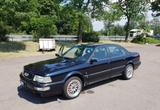 Audi V8 D11 (Typ44) 3.6 quattro Limousine - Audi V8 Gebrauchtwagen