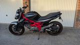 Suzuki SV650 Gladius 2. Hand - SUZUKI GLADIUS