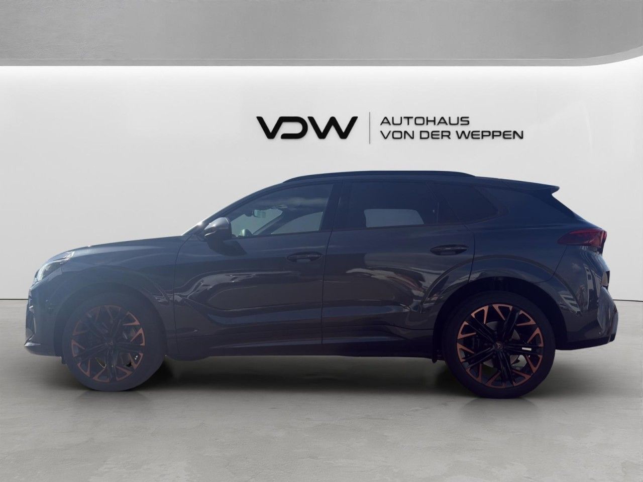 Cupra Terramar - Bild 3