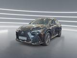 Lexus NX 350h Business Line *sofort verfügbar* - gebrauchte Lexus NX 350h aus dem Jahr 2024