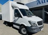 Mercedes-Benz Sprinter 316 CDI KÜHLER KOFFER AUTOMATIK - Mercedes-Benz Sprinter in Berlin