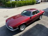 Jaguar XJS V12 Coupe - Jaguar XJS: 12 V