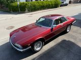 Jaguar XJS V12 Coupe - Jaguar XJS