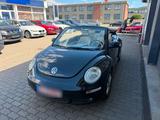 Volkswagen Beetle Cabrio - Volkswagen Beetle aus 2006: Cabrio