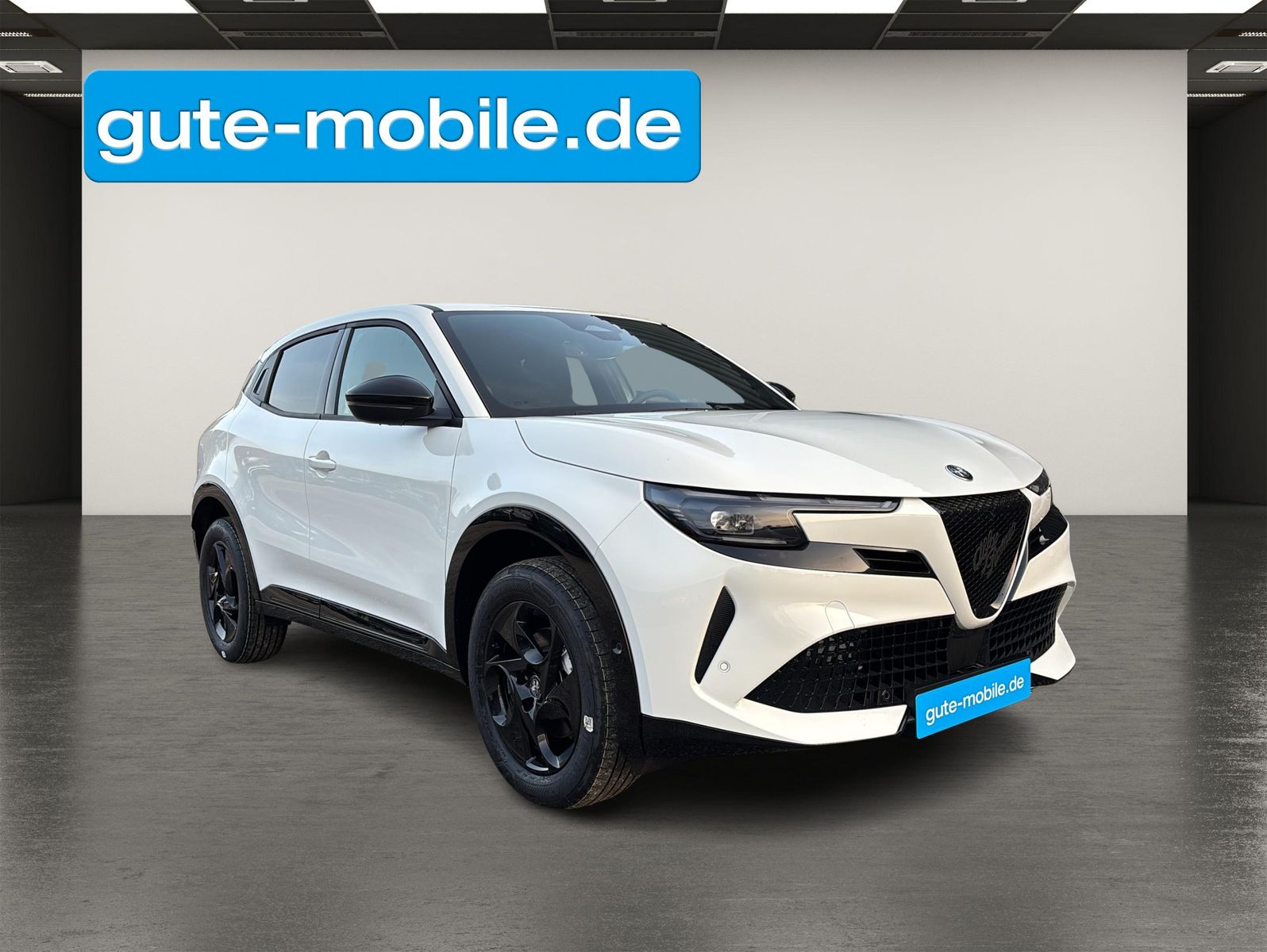 Alfa Romeo Junior - Bild 17