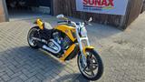 Harley-Davidson V-Rod VRSCF Muscle - HARLEY-DAVIDSON VR