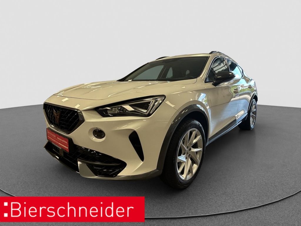 Formentor 2.0 TSI DSG 4Dr. ab 288,- Anz 990,- AH