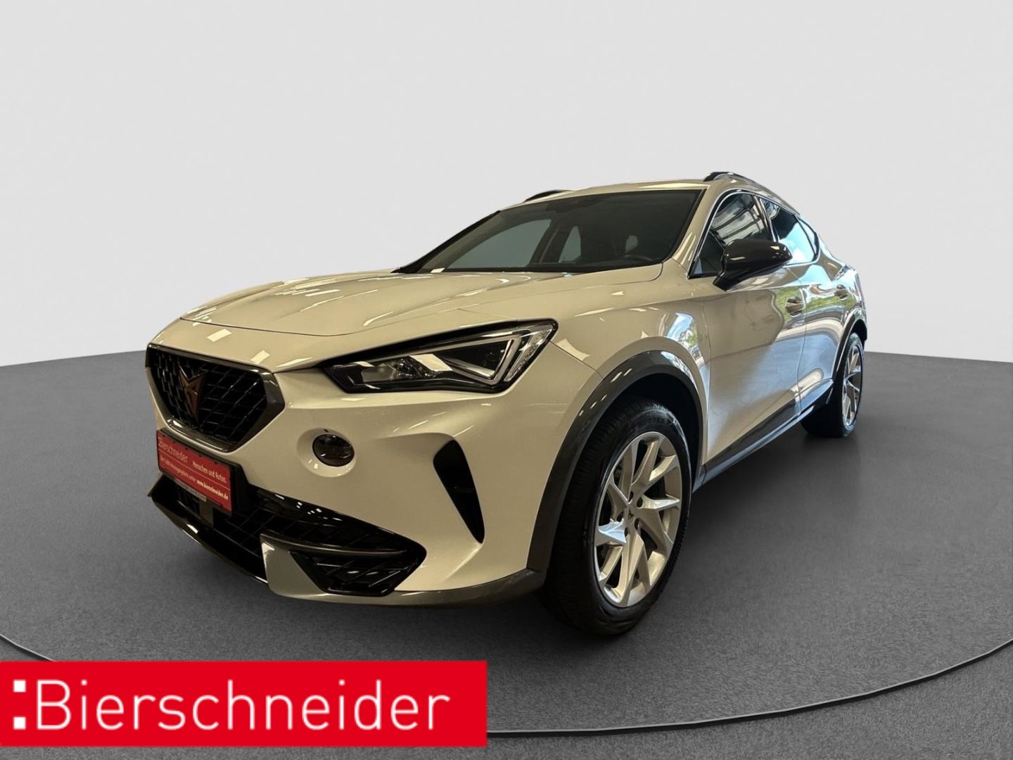 Cupra Formentor 2.0 TSI DSG 4Dr. AHK ACC LED NAVI ALU