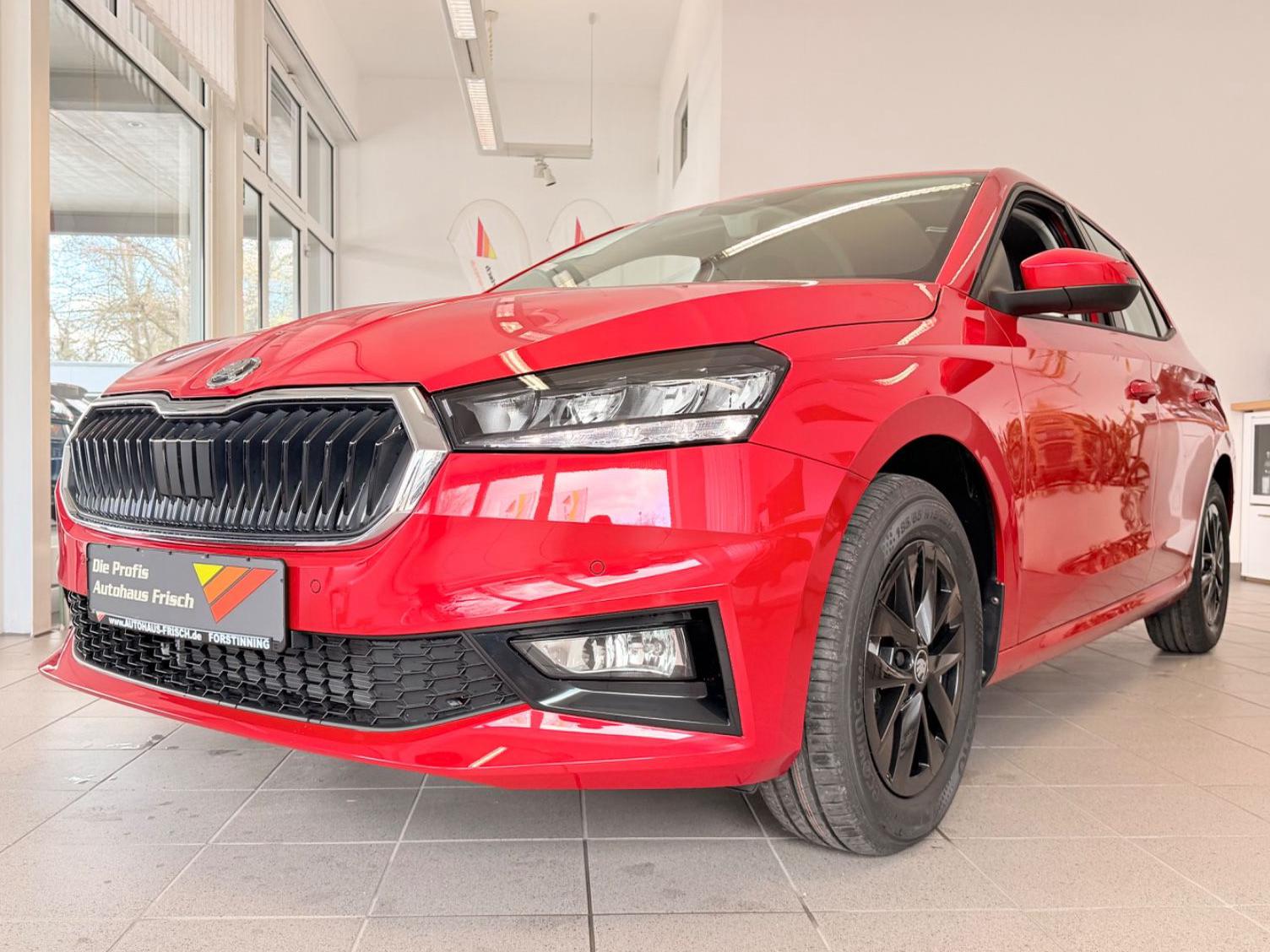 Skoda Fabia 1.0l TSI *SmartLINK*Winterpaket