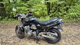 Suzuki GSF600 Bandit - SUZUKI BANDIT 600